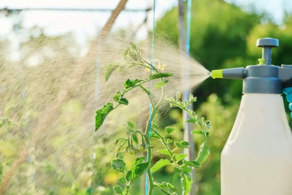 Insect Control