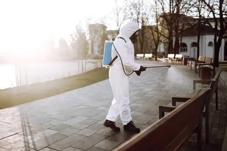 Mosquito Control Designed
