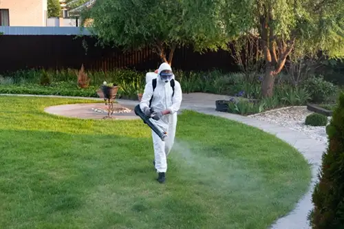 Mosquito Control
